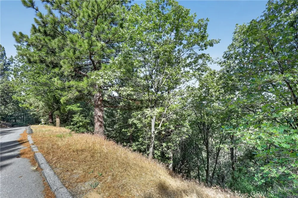 30308 Leprechaun Running Springs, CA 92382