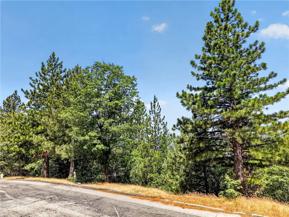 30308 Leprechaun Running Springs, CA 92382