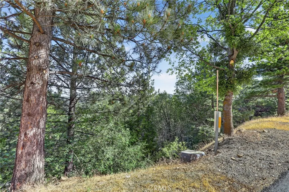 30308 Leprechaun Running Springs, CA 92382