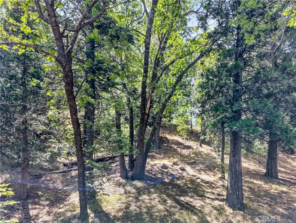 30308 Leprechaun Running Springs, CA 92382
