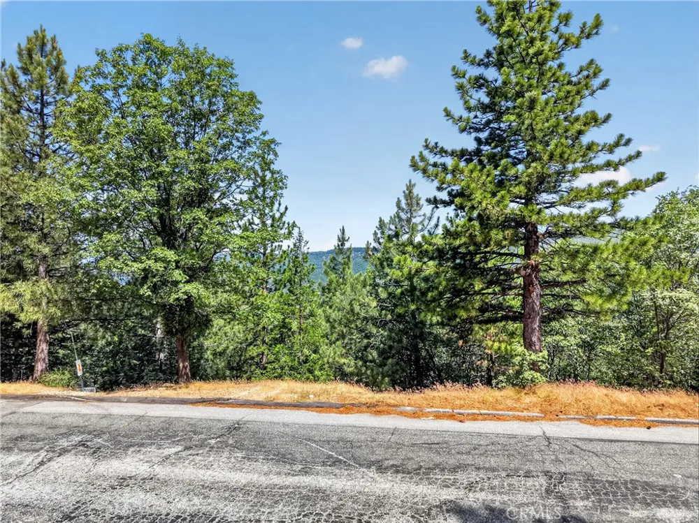 30308 Leprechaun Running Springs, CA 92382
