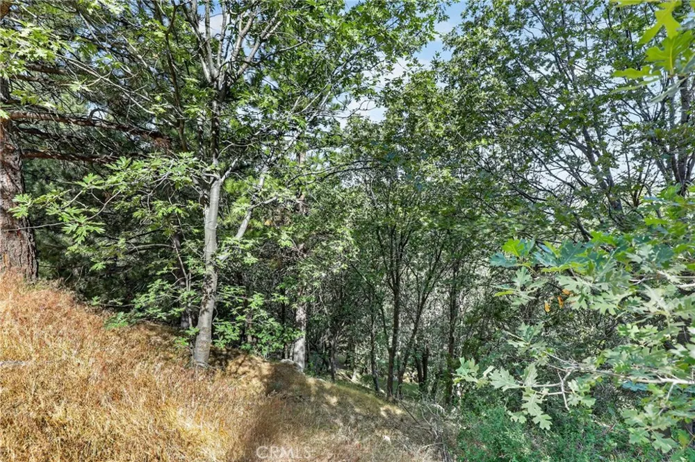 30308 Leprechaun Running Springs, CA 92382
