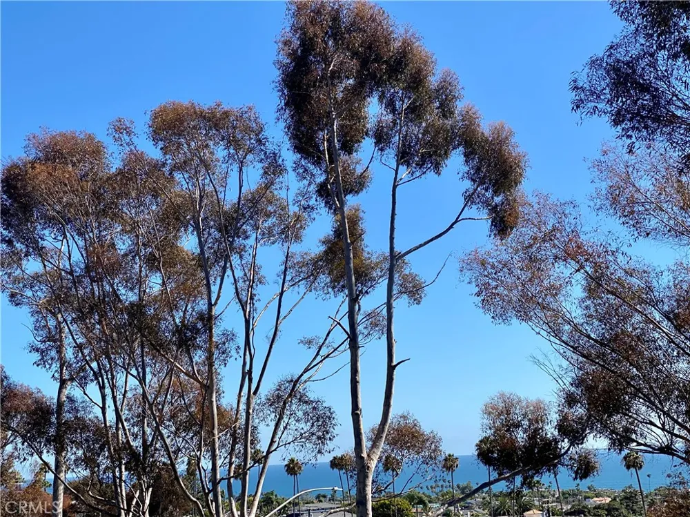 15 Vista Encanta #15 San Clemente, CA 92672