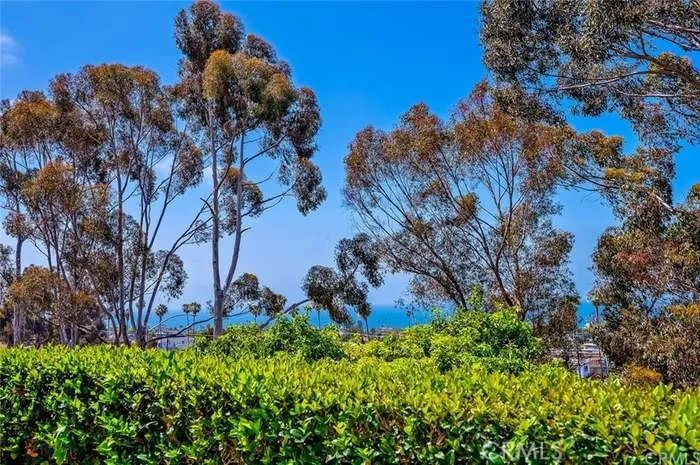 15 Vista Encanta #15 San Clemente, CA 92672