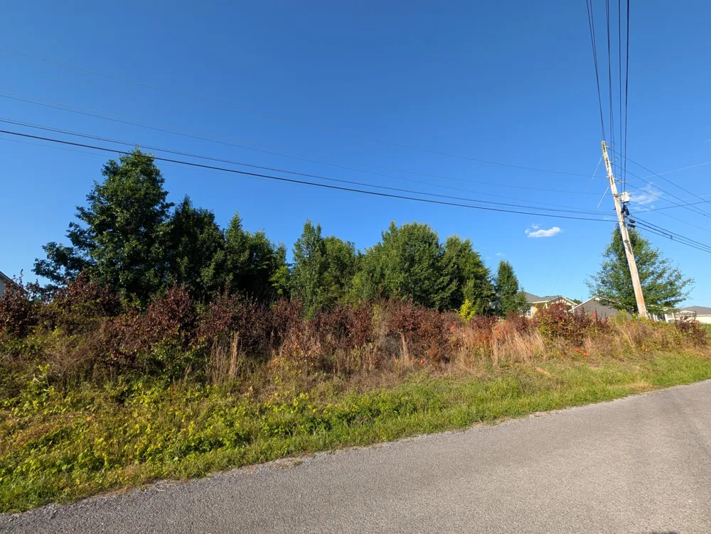 1174 Crosby Lane Spring City, TN 37381