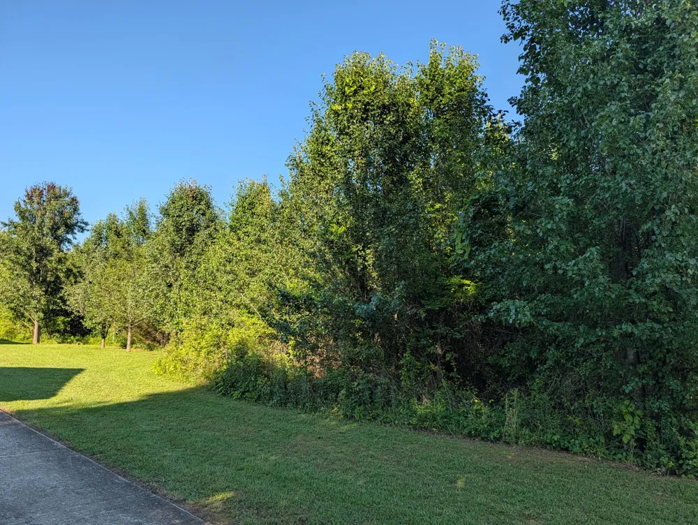 1174 Crosby Lane Spring City, TN 37381