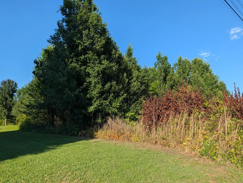 1174 Crosby Lane Spring City, TN 37381