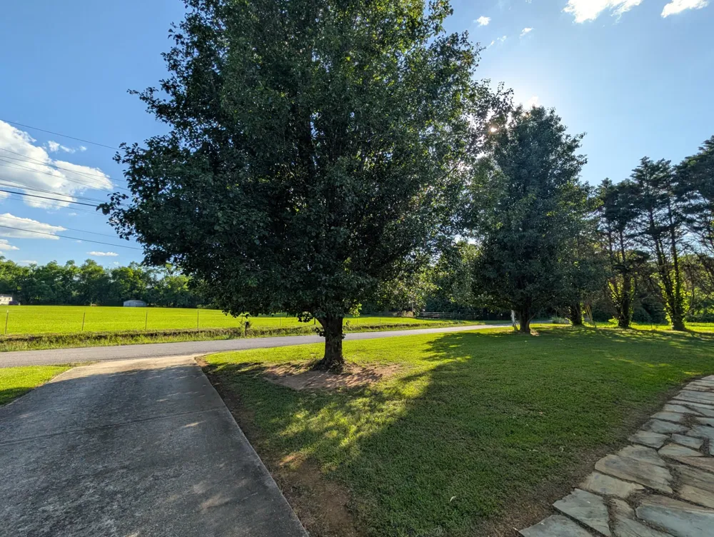 1174 Crosby Lane Spring City, TN 37381