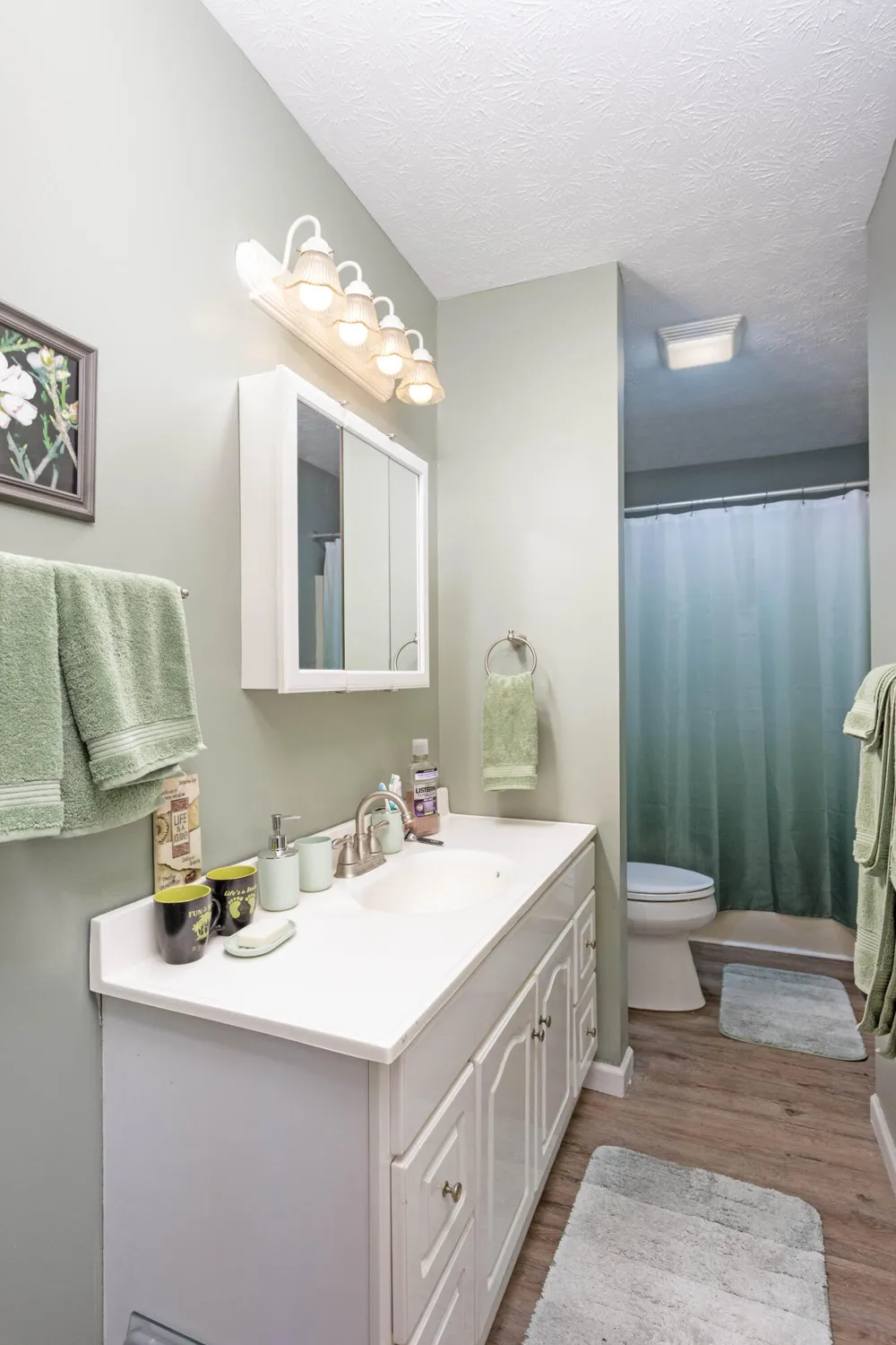 1174 Crosby Lane Spring City, TN 37381