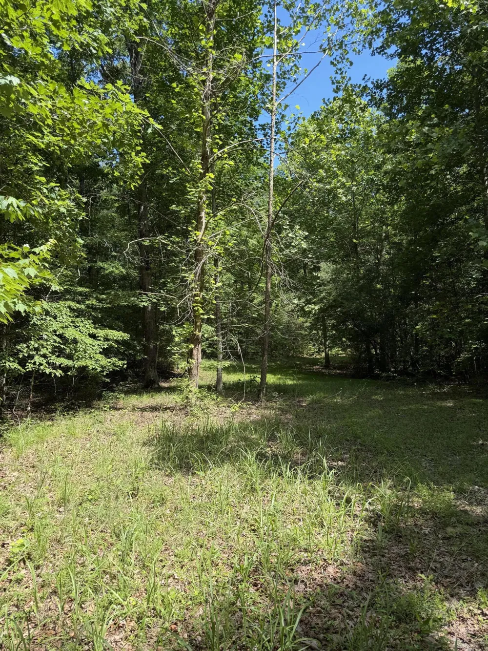 43 Bluffs Woods Altamont, TN 37301