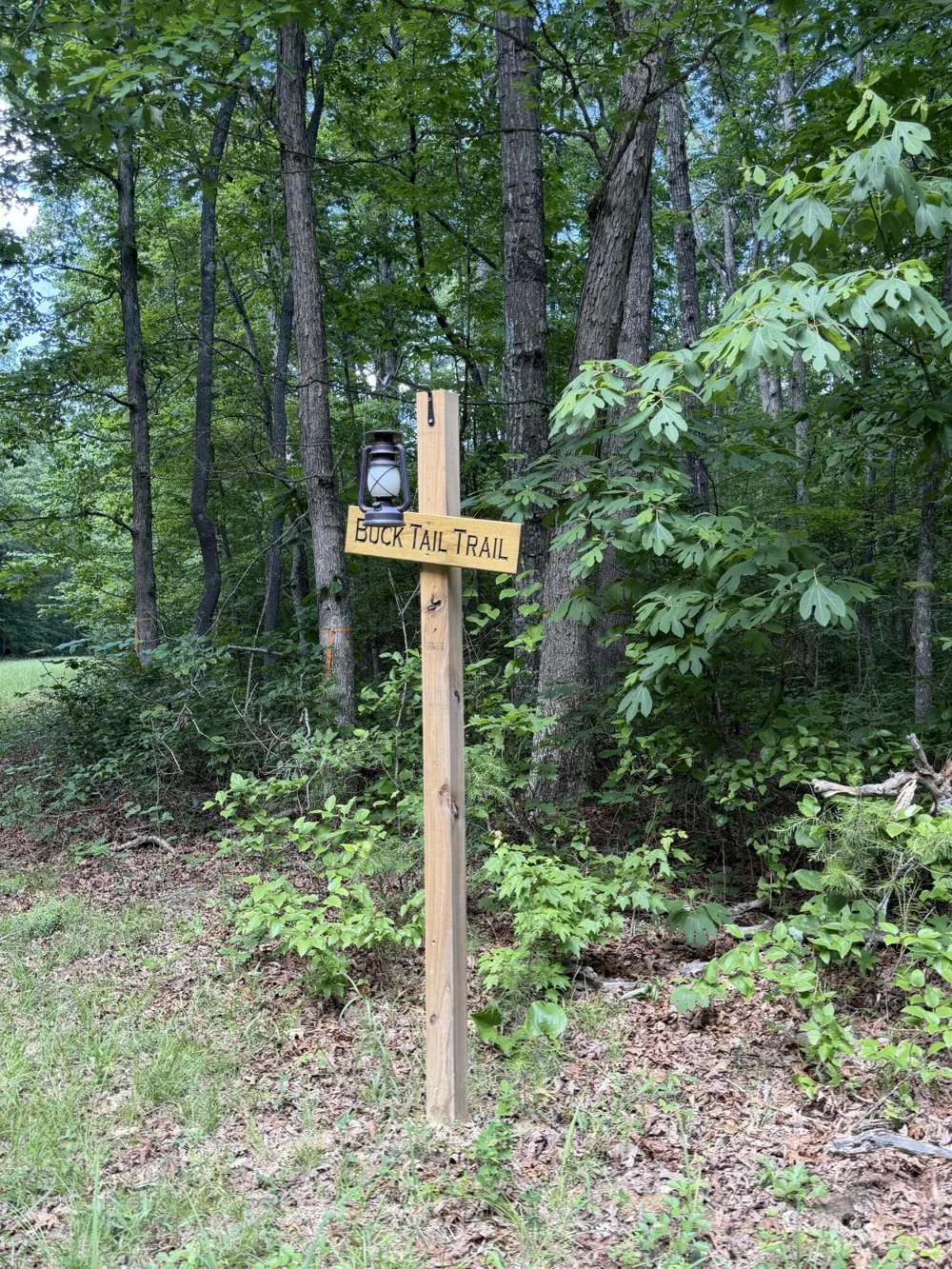 43 Bluffs Woods Altamont, TN 37301