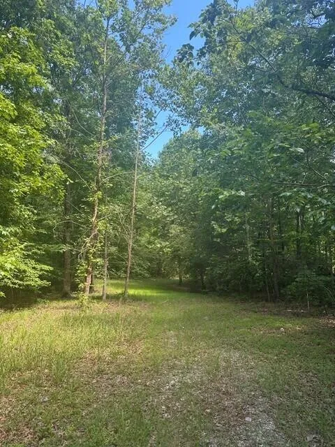 43 Bluffs Woods Altamont, TN 37301