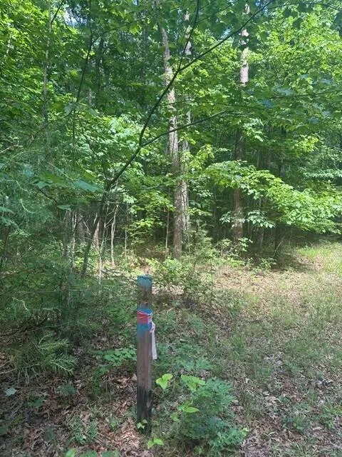 43 Bluffs Woods Altamont, TN 37301