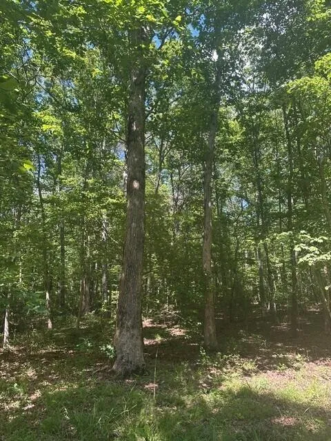 43 Bluffs Woods Altamont, TN 37301