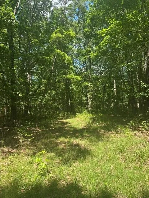 43 Bluffs Woods Altamont, TN 37301