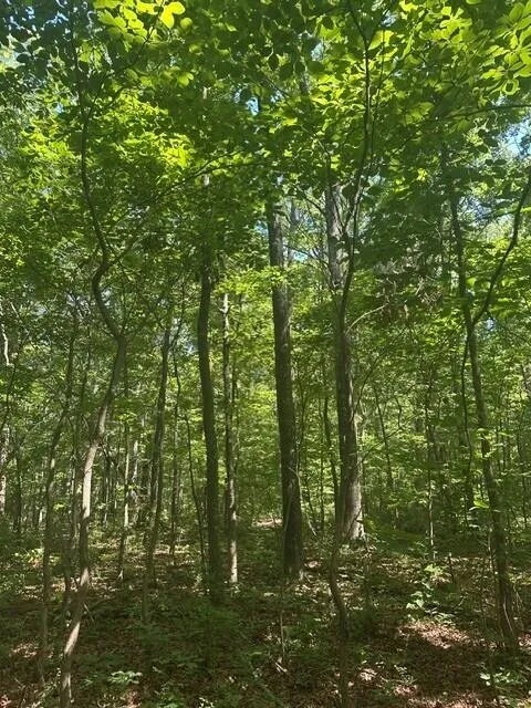 43 Bluffs Woods Altamont, TN 37301