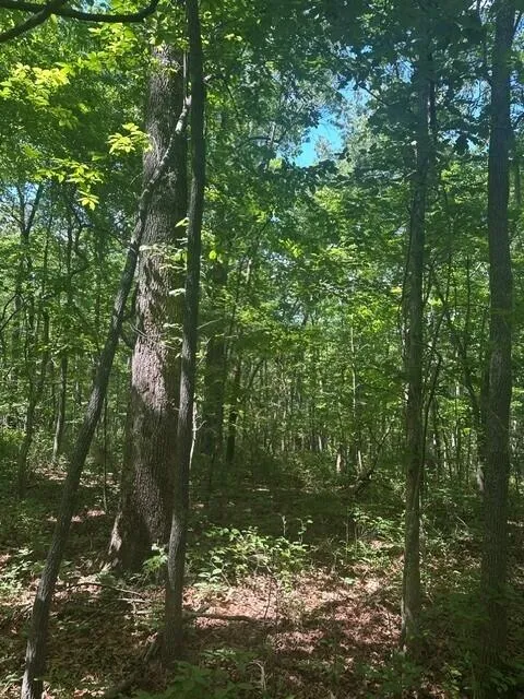 43 Bluffs Woods Altamont, TN 37301