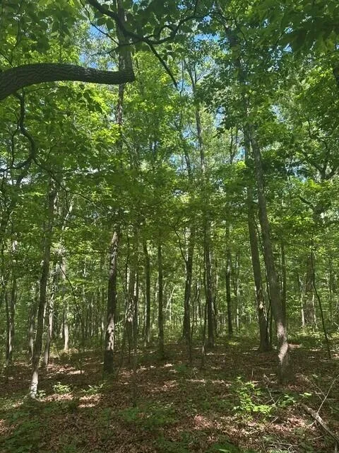 43 Bluffs Woods Altamont, TN 37301