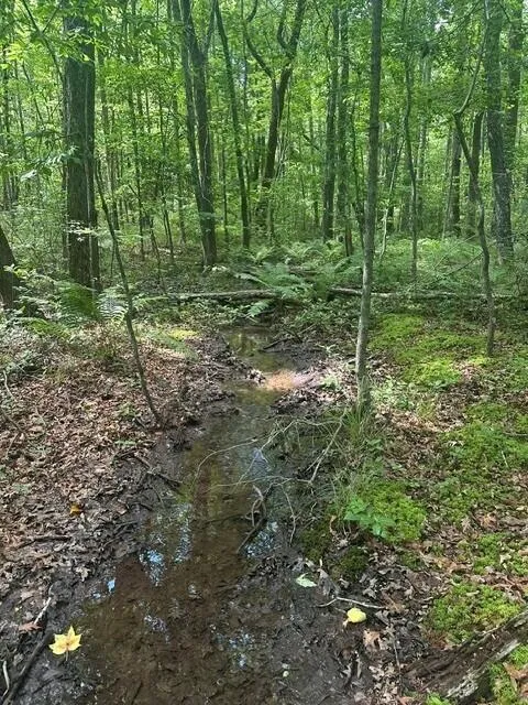 43 Bluffs Woods Altamont, TN 37301