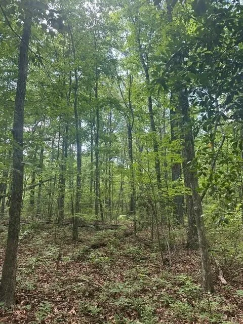 43 Bluffs Woods Altamont, TN 37301