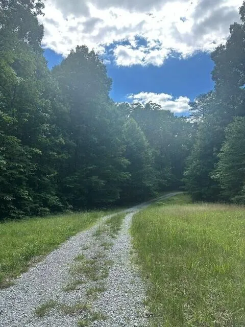 43 Bluffs Woods Altamont, TN 37301