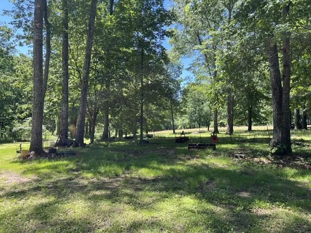 362 Cullen Savage Road Palmer, TN 37365