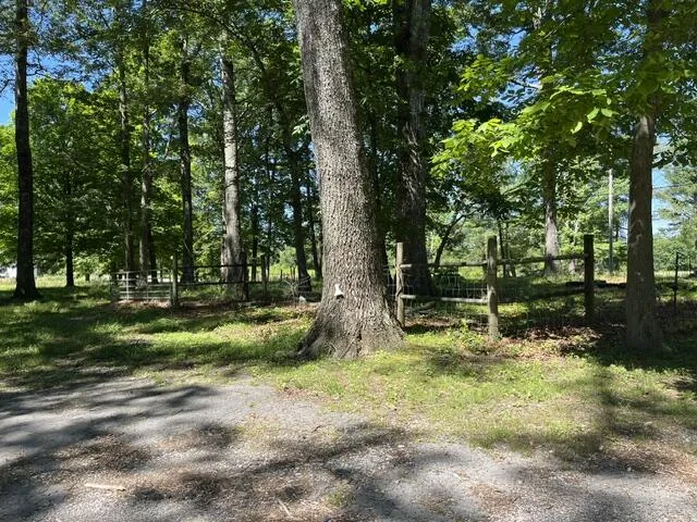 362 Cullen Savage Road Palmer, TN 37365