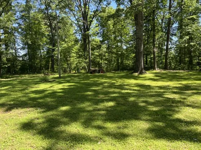 362 Cullen Savage Road Palmer, TN 37365