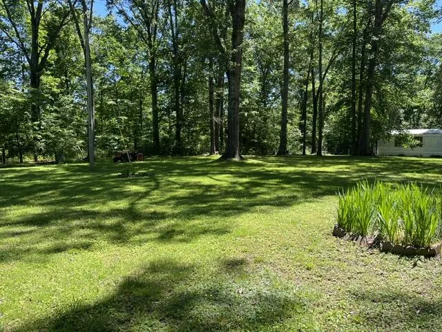 362 Cullen Savage Road Palmer, TN 37365
