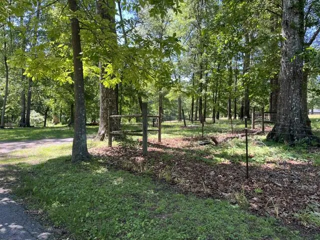 362 Cullen Savage Road Palmer, TN 37365