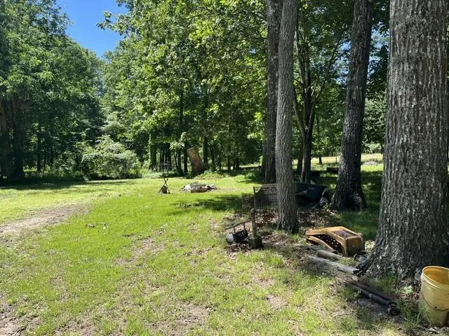 362 Cullen Savage Road Palmer, TN 37365