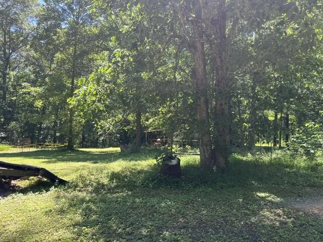 362 Cullen Savage Road Palmer, TN 37365