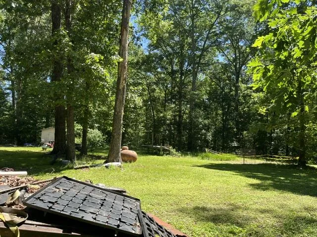 362 Cullen Savage Road Palmer, TN 37365