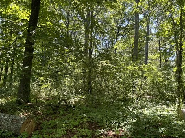 362 Cullen Savage Road Palmer, TN 37365