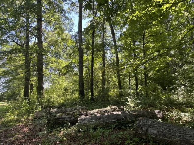 362 Cullen Savage Road Palmer, TN 37365