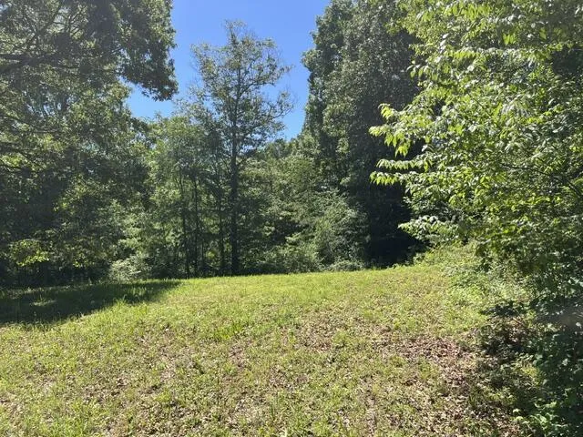 362 Cullen Savage Road Palmer, TN 37365