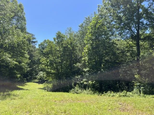 362 Cullen Savage Road Palmer, TN 37365
