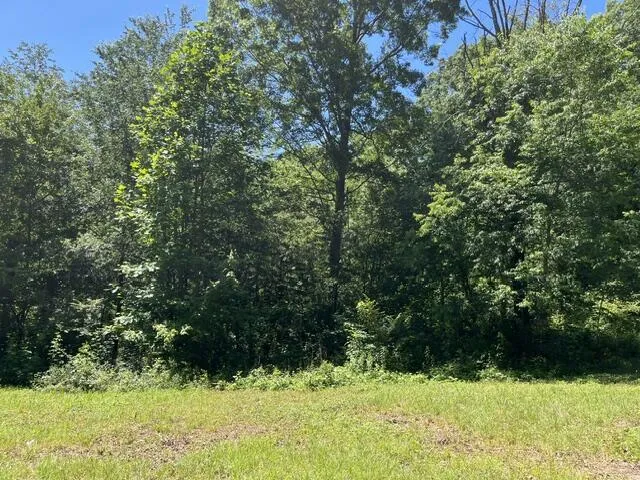 362 Cullen Savage Road Palmer, TN 37365