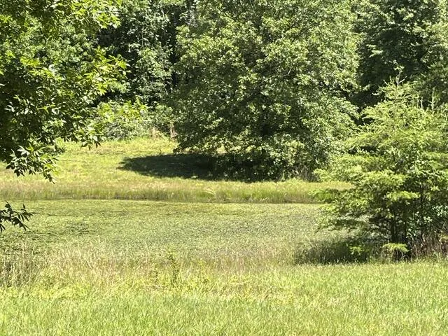 362 Cullen Savage Road Palmer, TN 37365
