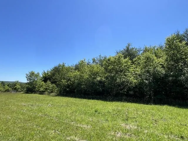 362 Cullen Savage Road Palmer, TN 37365