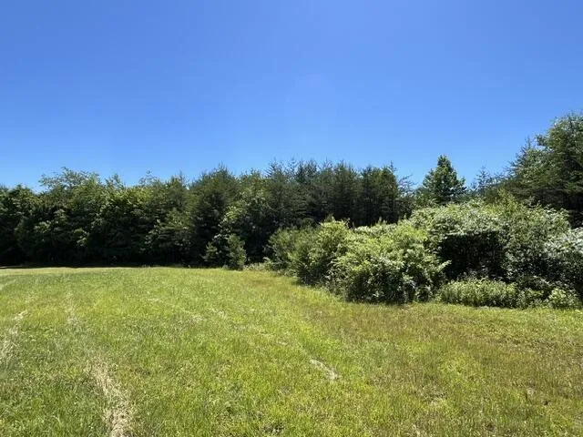362 Cullen Savage Road Palmer, TN 37365