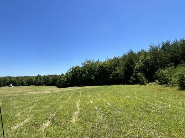 362 Cullen Savage Road Palmer, TN 37365