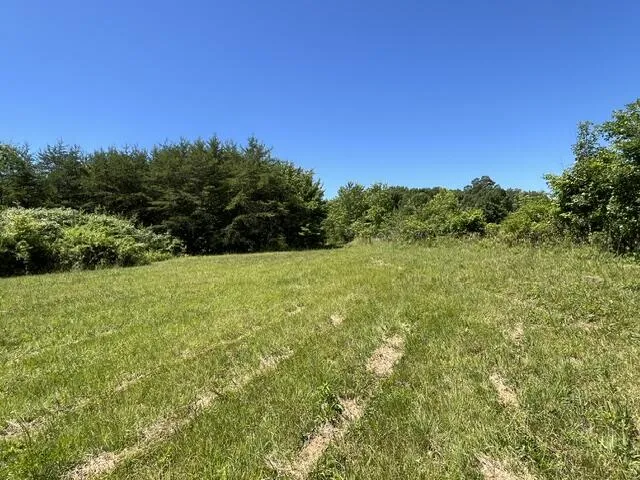 362 Cullen Savage Road Palmer, TN 37365