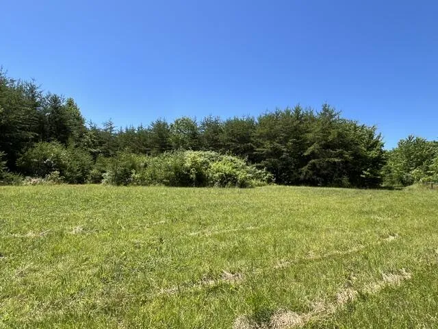 362 Cullen Savage Road Palmer, TN 37365