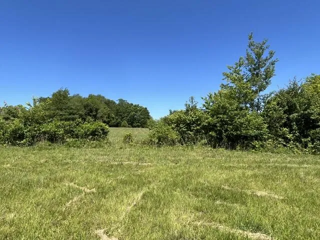 362 Cullen Savage Road Palmer, TN 37365