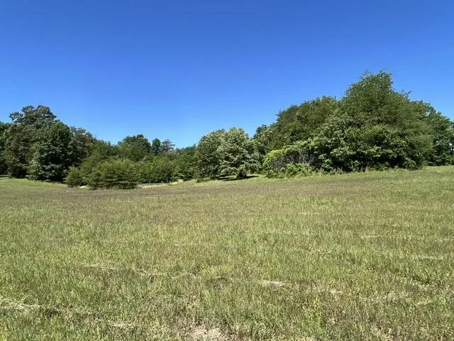362 Cullen Savage Road Palmer, TN 37365