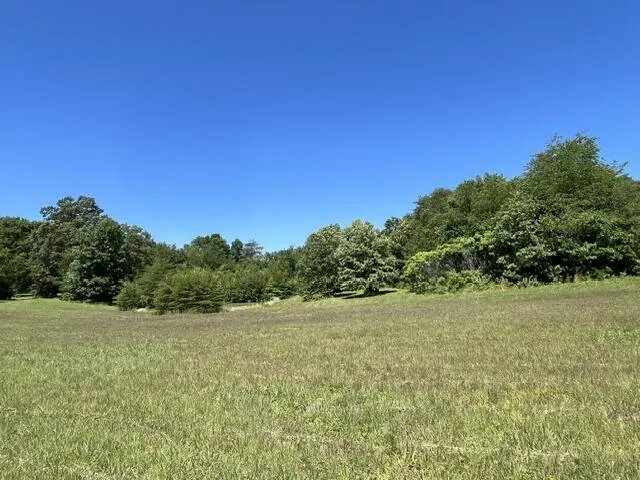 362 Cullen Savage Road Palmer, TN 37365