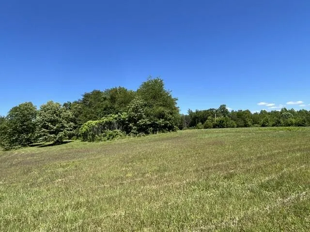 362 Cullen Savage Road Palmer, TN 37365