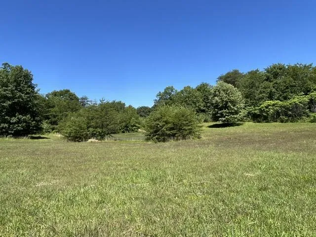 362 Cullen Savage Road Palmer, TN 37365