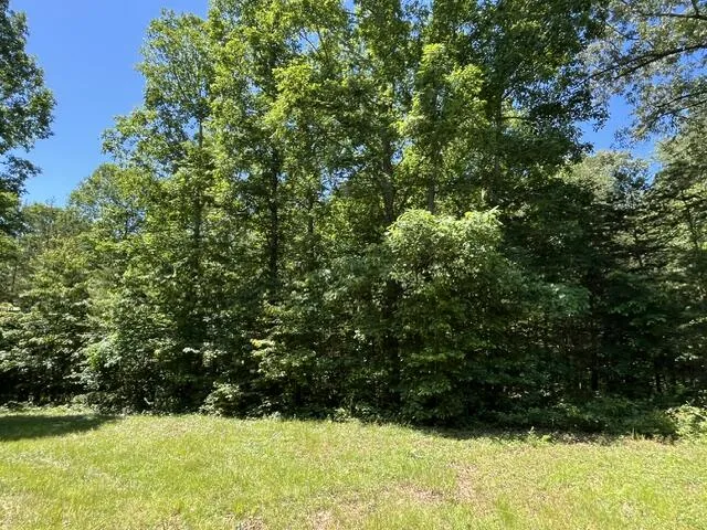 362 Cullen Savage Road Palmer, TN 37365